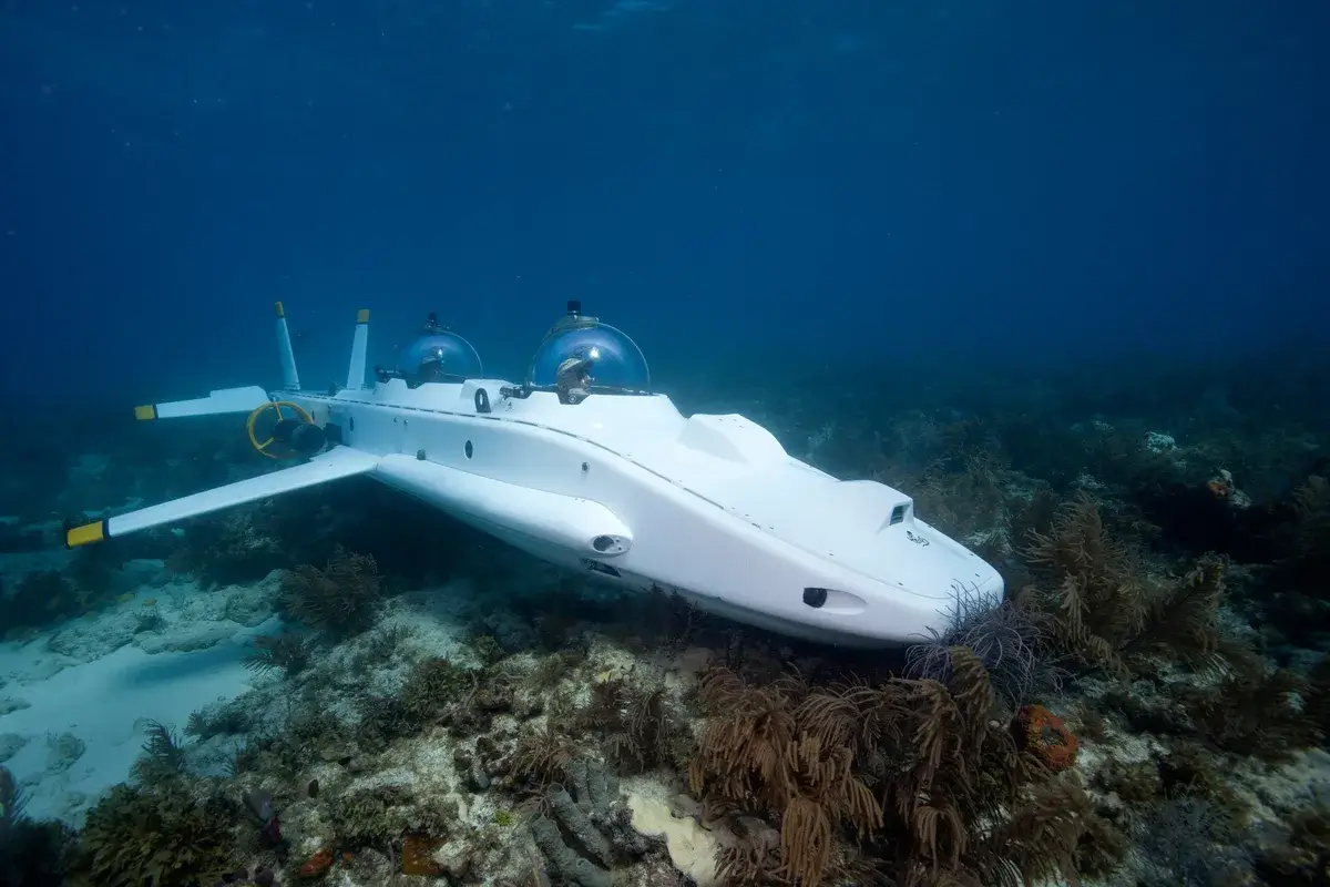 submarine-on-the-coral