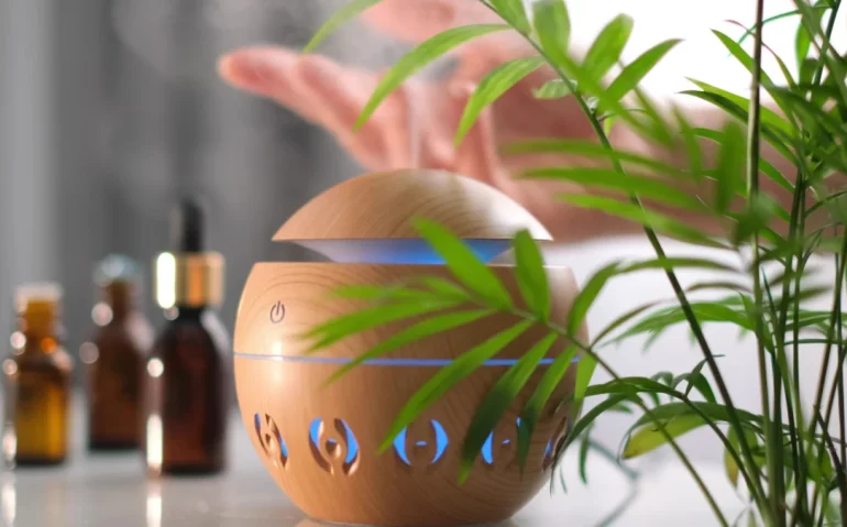 essential-oils-diffuser-with-plant