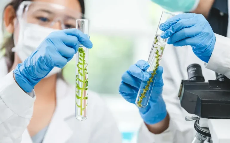 researcher-working-in-laboratory