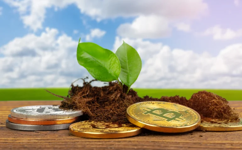 sprout-plant-and-bitcoin-growth