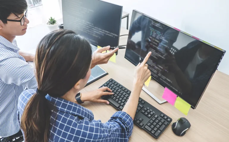 two-professional-programmers-cooperating